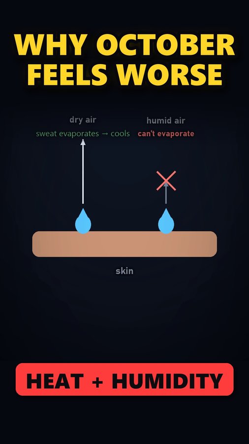 October Heat (India): Why Is It So Hot in October? (Class 9 Geography) — video thumbnail
